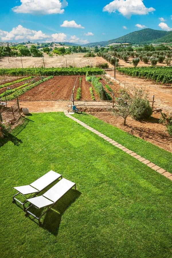 Poggiolivi Agriturismo Bio In Maremma Alberese Luaran gambar