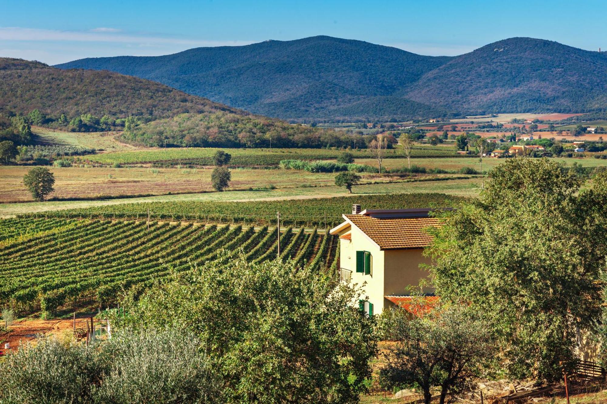 Poggiolivi Agriturismo Bio In Maremma Alberese Bilik gambar